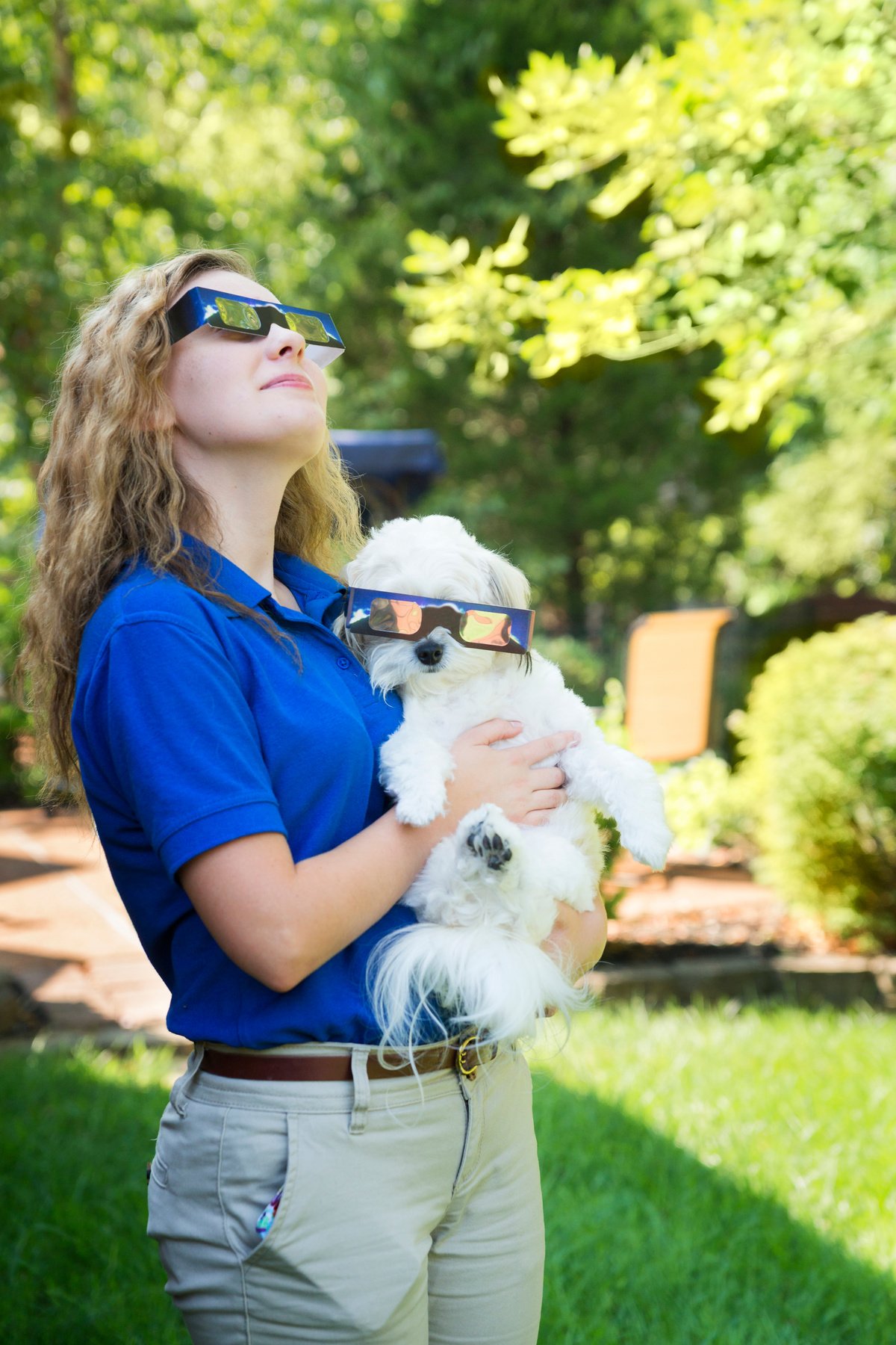 Watching the eclipse with dog